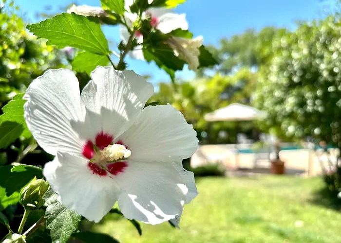 Aria - Menada Apartman Napospart