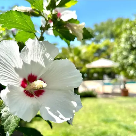 Aria - Menada Appartement Sunny Beach